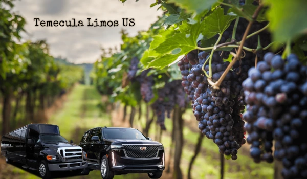 Temecula Wine Tours